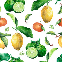Seamless pattern with citrus fruits. Watercolor limes, lemons and tangerines.