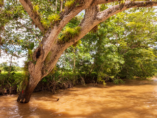 Im Norden Costa Ricas windet sich der R&iacute;o Fr&iacute;o durch die Landschaft. Das Naturschutzgebiet Ca&ntilde;o Negro befinden sich dort. Es ist das wichtigste Feuchtgebiet Costa Ricas