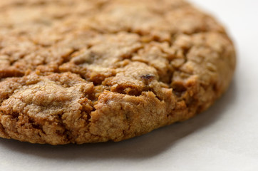 closeup of homemade oatmeal raisin cookie, shallow depth of field