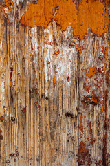 wooden background of old planks texture background