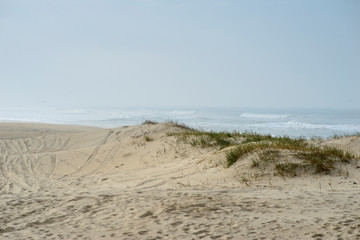 Sand dunes on the beach of Esmoriz