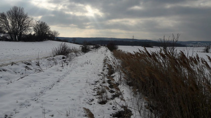 a snow path with traces