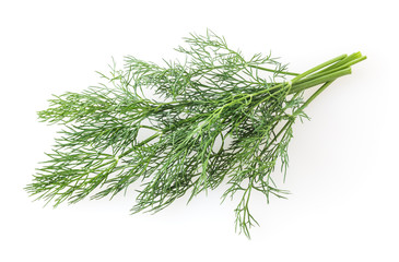 Fresh dill sprig isolated on white background