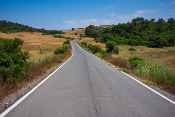 The landscape near the city of Ronda, Spain, showing fields of wheat, wild flowers and grass on a summer day. 