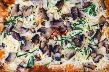 eggplant parmigiana with vegn cheese just out of the oven