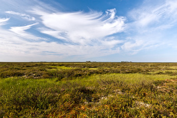 Tundra landscape in the north of Russia against the blue sky with clouds