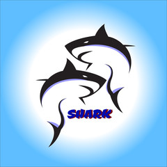 Swimming up shark logo design inspiration bottom view