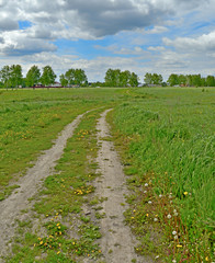 Obraz premium overgrown field with a rut, a blue sky and houses in the background.