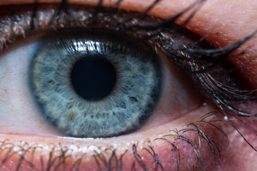 female blue eye and colored eyelashes shot in macro