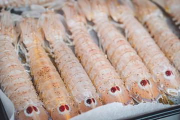 Delicious fresh Mantis Shrimps from the adriatic sea in Puglia, Italy