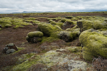 landscape with moss and lead sky in Iceland in spring