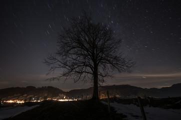 Baumsilhouette auf Mor&auml;ne vor Escholzmatt