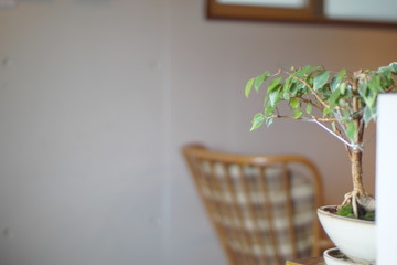 カフェの装飾