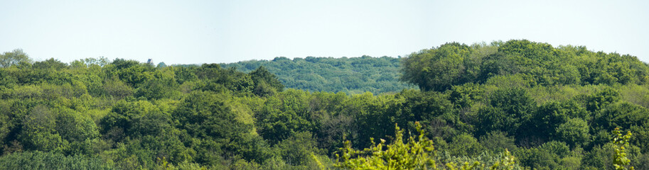 A view on two hill of green forest with differents green shades in this horizontal panorama