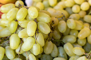 Many berries of white grapes. Juicy white grapes