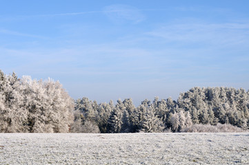 rural landscape covered with frost on sunny morning