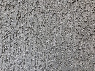 Texture Of The Decorative Stucco Bark Beetle