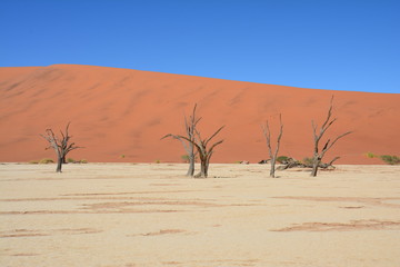 Dunes Désert Deadvlei Namibie