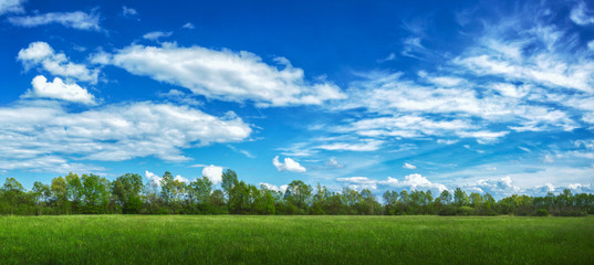 Beautiful large panorama scene with green grass and blue sky with clouds, windows wallpaper