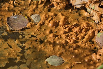 Dreckiger See - Chemies im Wasser Verunreinigt