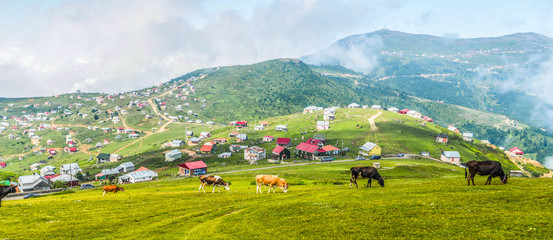 village in the mountains