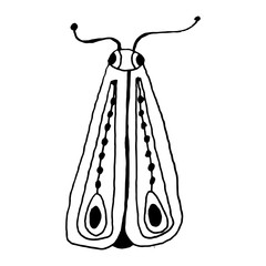 Butterfly in doodle style on isolated white background. Coloring book for kids and adults. Decorative hand drawn butterfly. Stock vector illustration.