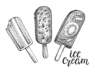 Ink hand drawn set of different types of ice cream. Popsicle on a stick. Food elements collection for menu or signboard design with brush calligraphy style lettering. Vector illustration. - 311164372