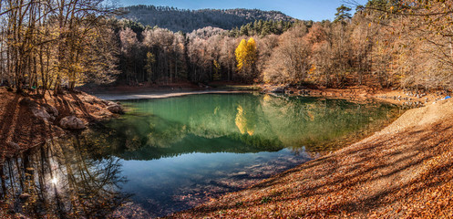 lake in forest