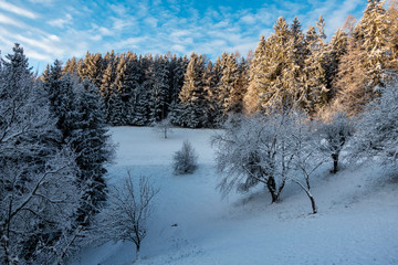 SCHNEE ZU WEIHNACHTEN . SNOW AT CHRISTMAS