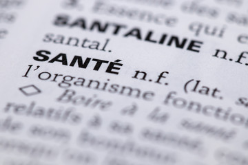D&eacute;finition du mot sant&eacute; dans le dictionnaire fran&ccedil;ais