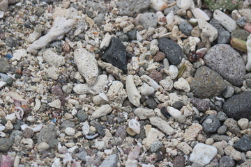 Background texture close up view of beach pebbles scattered on the beach
