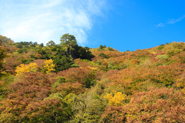 三段峡の秋（広島）