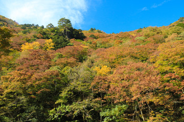 三段峡の秋（広島）