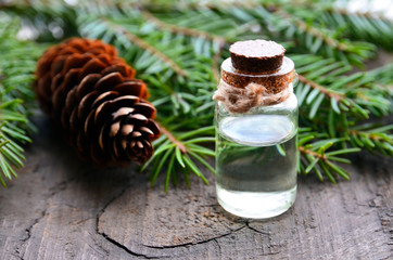 Fir needle essential oil in a glass bottle and green coniferous tree branches with cones.Spruce aroma oil for spa,aromatherapy and bodycare.Selective focus.