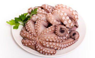 Polpo crudo su piatto bianco