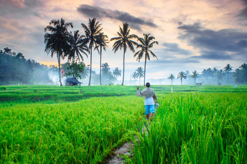Sunday is a good day to enjoy the rice fields by talking to the farmers in the morning not...