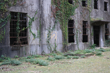 うさぎ島のうさちゃんシリーズ