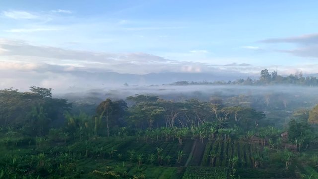 Wide view of some farms and orchards in the mountains of Papua New Guinea