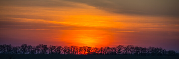 sun is deciduous forest and field at sunset.