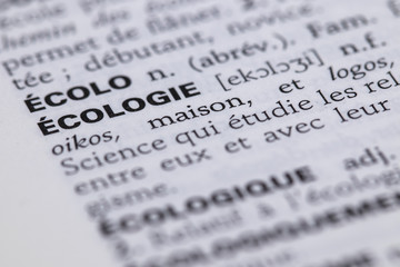 Définition du mot écologie dans le dictionnaire français