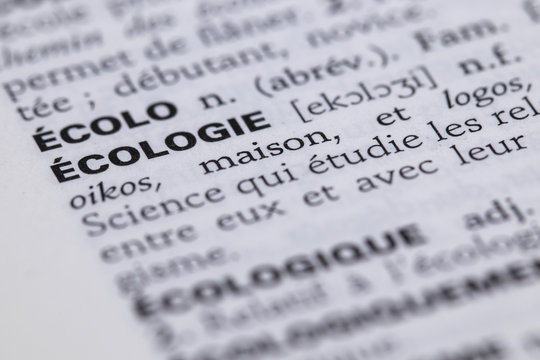 D&eacute;finition du mot &eacute;cologie dans le dictionnaire fran&ccedil;ais