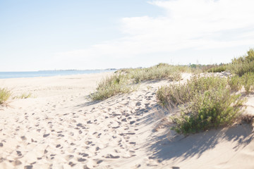 Deserted beach on sunny summer day