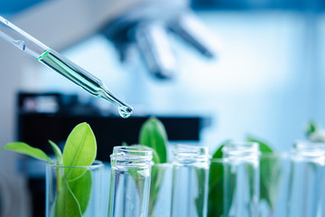 Dropper over test tube dropping sample chemical into sample herbal plaint , biotechnoloy research...