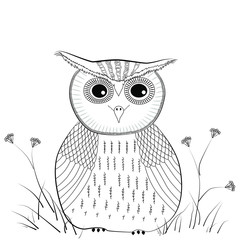 Little owl, painted in bright colors. Bird family owl. Figure funny birds. Coloring for painting.