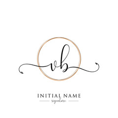 Initial Letter VB Signature Handwriting and Elegant Logo Design Vector	