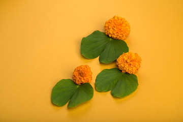 Indian Festival Dussehra, showing golden leaf (Bauhinia racemosa) and marigold flowers on a yellow...