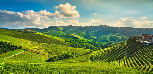 Zelfklevend Fotobehang Wijngaard Langhe wijngaarden zonsondergang panorama, Serralunga Alba, Piemonte, Italië Europa.