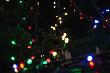 Close-up of real Christmas tree, decorated for the holidays, tree's branches with lights on. New year celebration