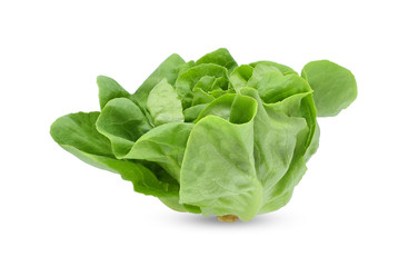 Fototapeta premium green butter lettuce vegetable or salad isolated on white back ground