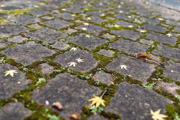 Obraz premium 石畳